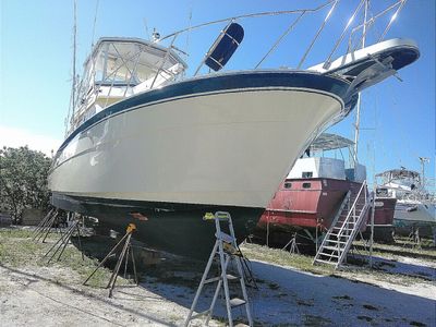 Sarasota Boat Detailing LLC photo 35
