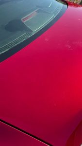 Venice Detail photo 14