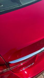 Venice Detail photo 20