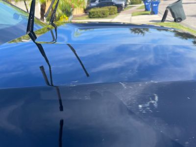 Venice Detail photo 23