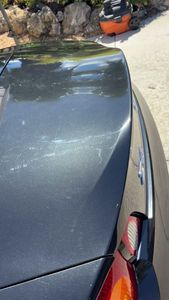 Venice Detail photo 34