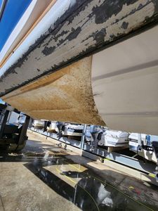 Top Quality Boat & Car Detailing | Mobile Ceramic Coating photo 41