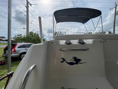 Reel Deal Marine Detailing photo 43