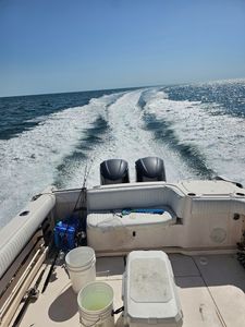 Rum Coast Mobile Marine photo 11