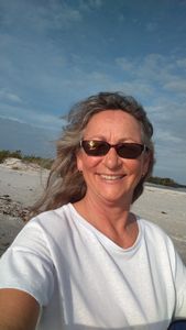 Sea Tow Venice photo 15