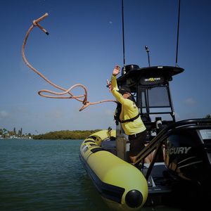 Sea Tow Venice photo 29