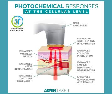 Venice Family Chiropractic photo 26