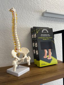NovaSpine Chiropractic Near Me Venice photo 6