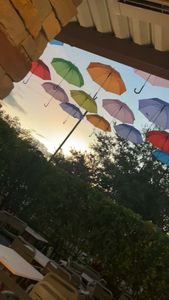 Cabo Breeze – Mexican Grill & Tiki Bar photo 13