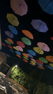 Cabo Breeze – Mexican Grill & Tiki Bar photo 32