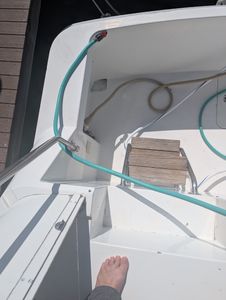 Saylors Marine Care (Detailing and Management) photo 9