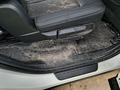 Time To Shine Mobile Detailing LLC photo 37