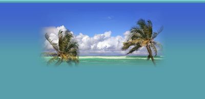 Island Dental Spa photo 20