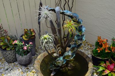 Aluna Wellness Center & Spa photo 35