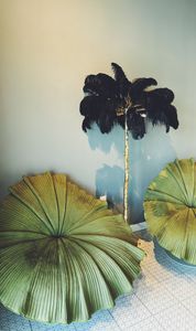 Elite Medical Spa of Parrish photo 17