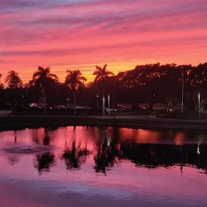 The Garden Medical Spa, Wellness & Massage photo 24