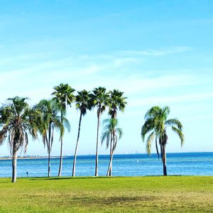 The Garden Medical Spa, Wellness & Massage photo 44