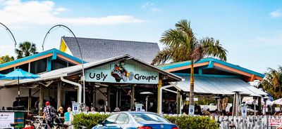 The Ugly Grouper