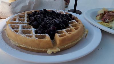 Anna Maria Island Beach Cafe photo 8