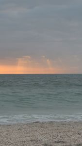 Anna Maria Island Beach Cafe photo 35