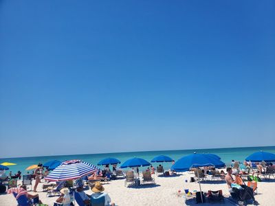 Anna Maria Island Beach Cafe photo 43