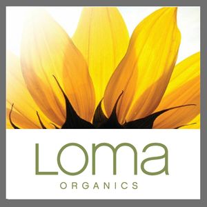 The Loft Hair Studio photo 33