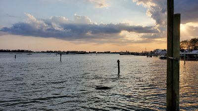 Cortez Cove Marina photo 30