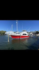 Cortez Cove Marina photo 47