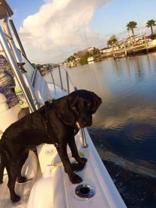 Howards Mobile Boat Detailing photo 16