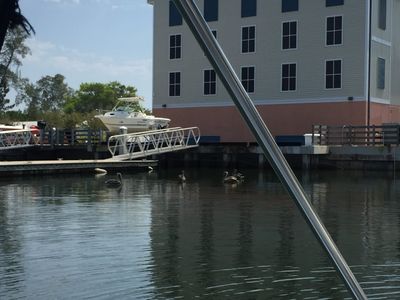 Cortez Village Marina photo 37