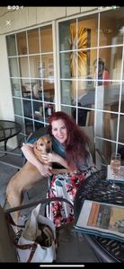 Gallo Chiropractic Office photo 7