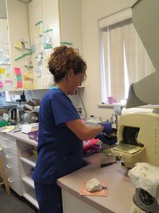 Cortez Family Dentistry photo 3