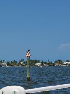 Cove Sound Marina photo 3