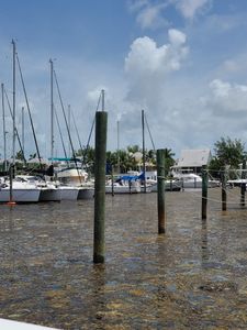 Cove Sound Marina photo 6