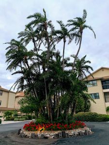 Cove Sound Marina photo 9