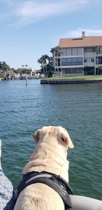 Cove Sound Marina photo 13