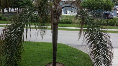 Cove Sound Marina photo 18