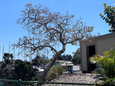 Cove Sound Marina photo 20