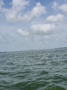 Cove Sound Marina photo 32