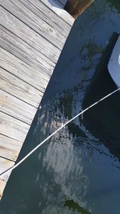 Cove Sound Marina photo 33