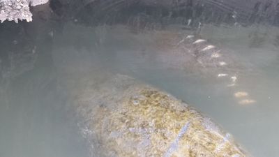 Cove Sound Marina photo 34