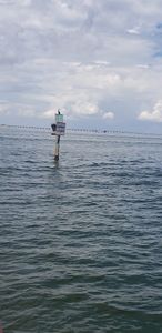 Cove Sound Marina photo 37