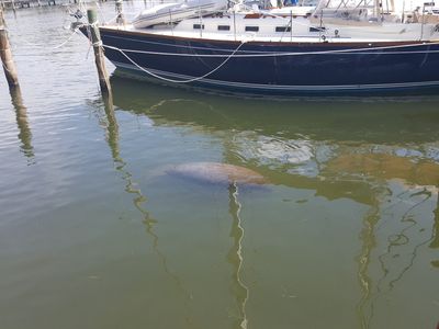 Cove Sound Marina photo 38