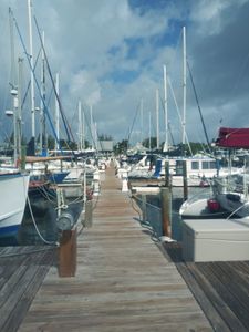Cove Sound Marina photo 41