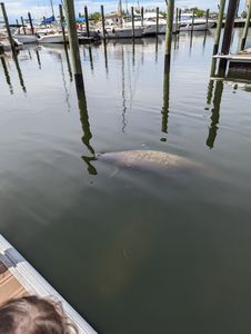 Safe Harbor Pier 77 photo 11