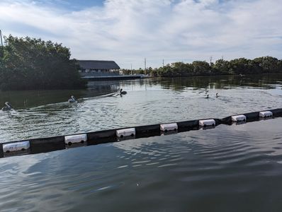Safe Harbor Pier 77 photo 13