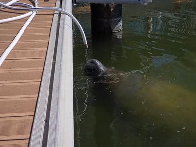 Safe Harbor Pier 77 photo 27