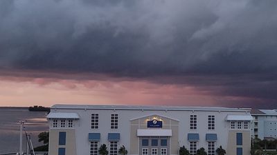 Safe Harbor Pier 77 photo 32