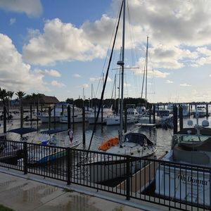 Safe Harbor Pier 77 photo 40