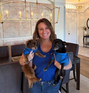 VIP Mobile Grooming Lakewood Ranch photo 10